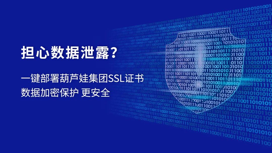 一键部署葫芦娃集团SSL证书数据加密保护更安全