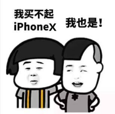 别人有iPhone X，葫芦娃为网站装X54.png