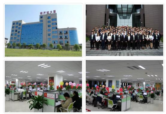 喜讯！葫芦娃网络入选杭州市20个青年创业案例603.png