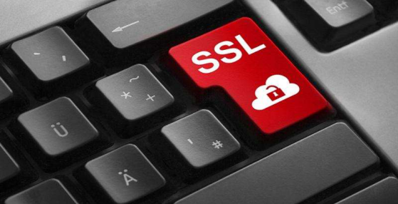 每种类型的SSL证书都不相同，对此你真的了解吗？921.png