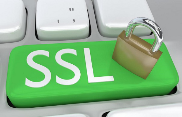 哪种SSL证书更适合中小企业？docx192.png